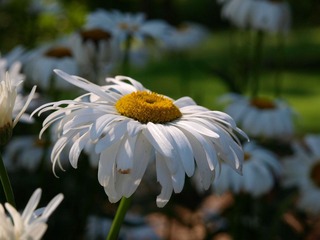 _8019143