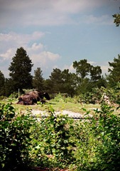 Untitled_Panorama1