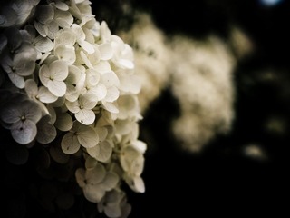 _7318718