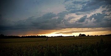 _7058369