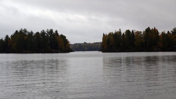 _A040444