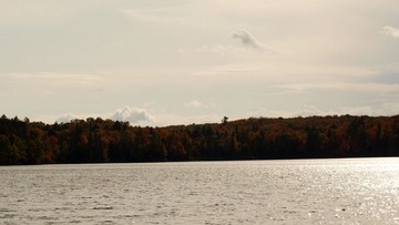 _A030379