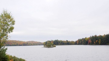 _A030142