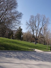 _4264411