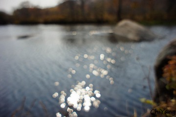 _DSC2930-1.jpg