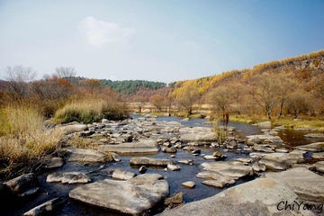 _DSC2961-1.jpg