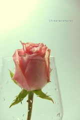 花·语