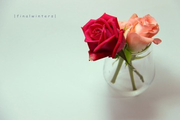花·语