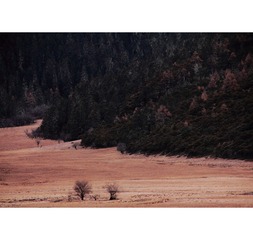 DPP_0007