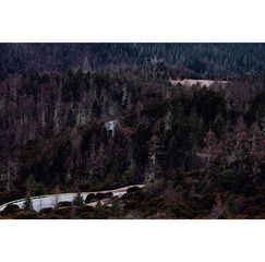 DPP_0016