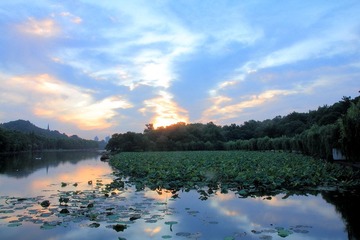 夏 西湖日出 027.jpg
