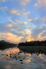 DPP_114.jpg