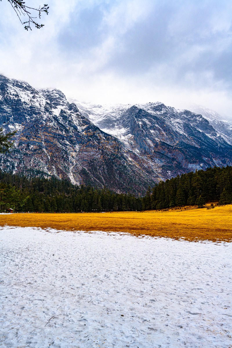 冬天的雪山脚下昔日绿色的草坪变成了金色