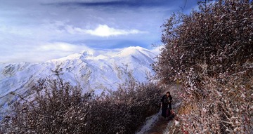 DSC_3007ss.jpg