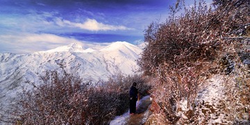 DSC_3008.jpg