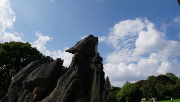 509
