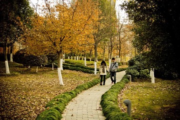 IMGP0517-1.jpg