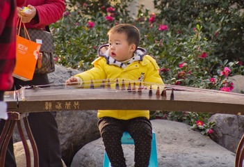IMGP0461-1.jpg