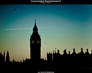 _IGP1272.jpg