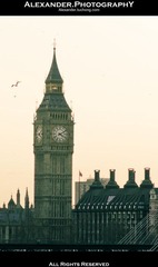 _IGP1239.jpg