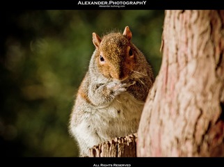 _IGP3884.jpg