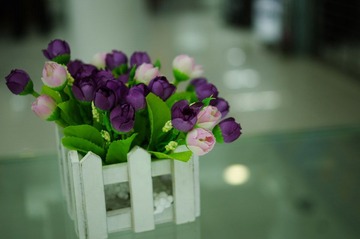 IMGP4695.JPG