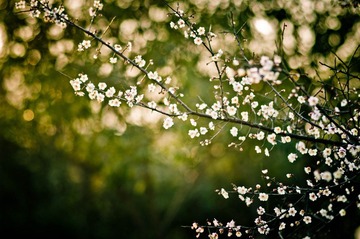 _IGP5445-2.jpg