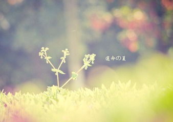 _IGP8915.jpg