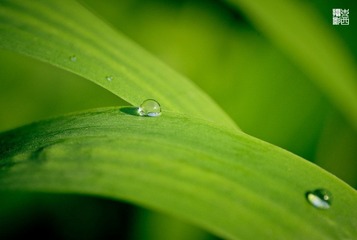 _IGP9057.jpg