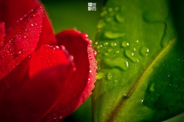 _IGP9008.jpg