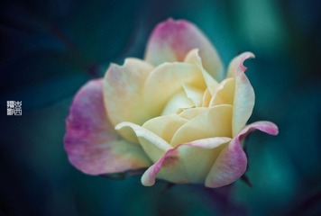 _IGP8952.jpg