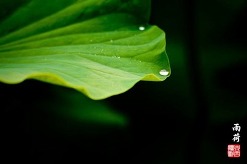 _DSC3021-A.jpg