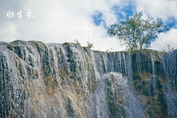 _DSC595A5.jpg