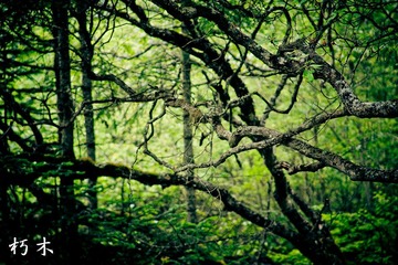 _DSC5622A.jpg