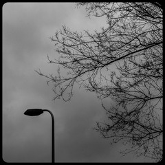 L1000051-2.jpg