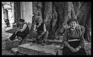 L1002176-2.jpg