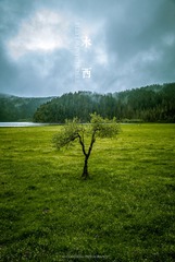 L1002628副本.jpg