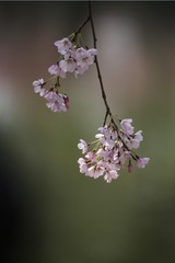56787