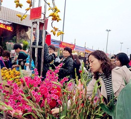 CIMG3876_副本.jpg