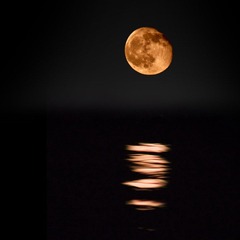 IMG_0462212121.jpg