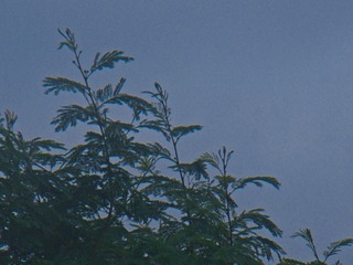 04A91261-691A-405A-9703-F986B379829E/L0/001