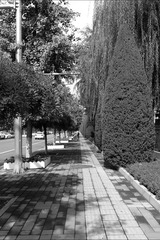L2030239