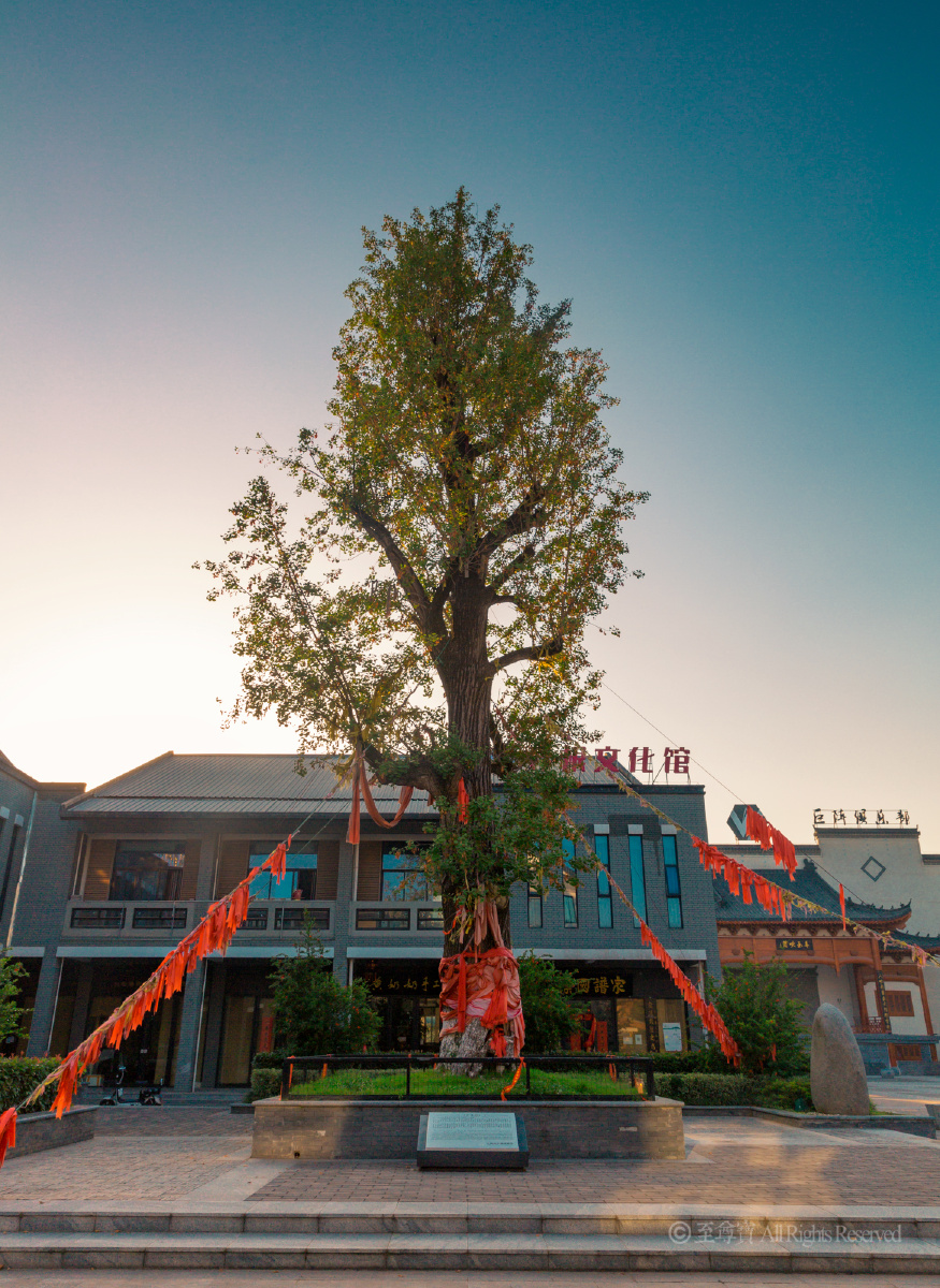 《许愿树》南宋嘉定年间栽植的古银杏,位于金寨玉佛寺上香古道边.