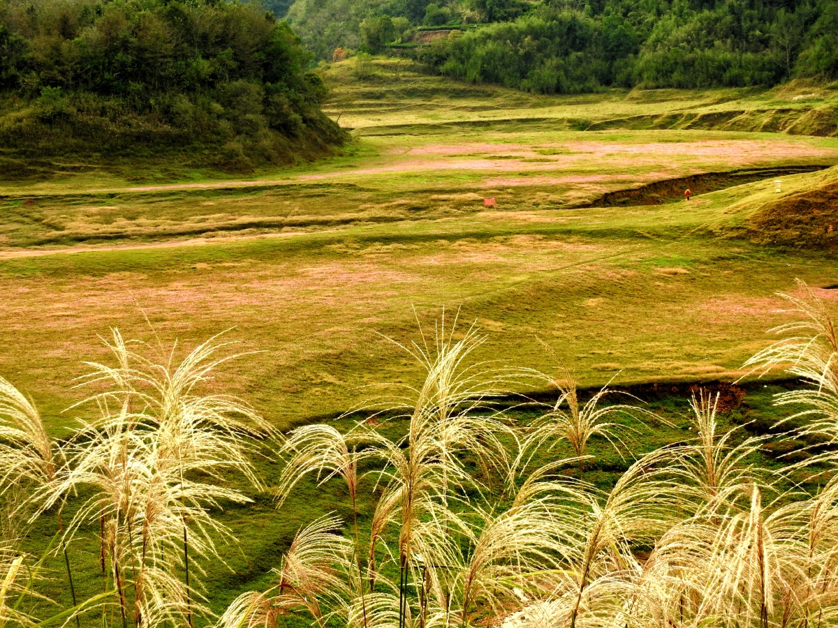 在湖北恩施市白杨坪镇熊家岩村,有一处湿地叫鳝孔坝 ,因坝中有个消水