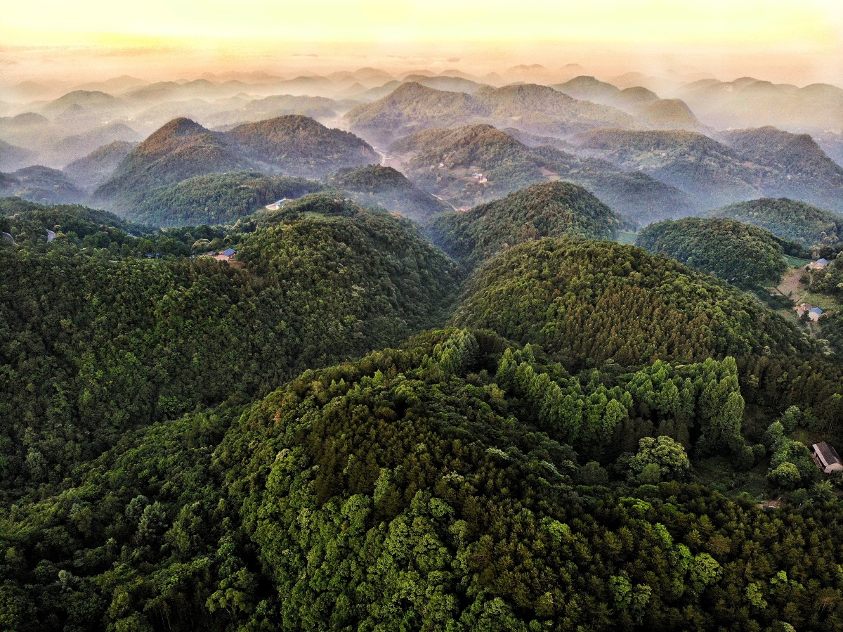 仙居之地铁厂荒在湖北巴东县有一个铁厂荒林场那里森林茂密无边无际