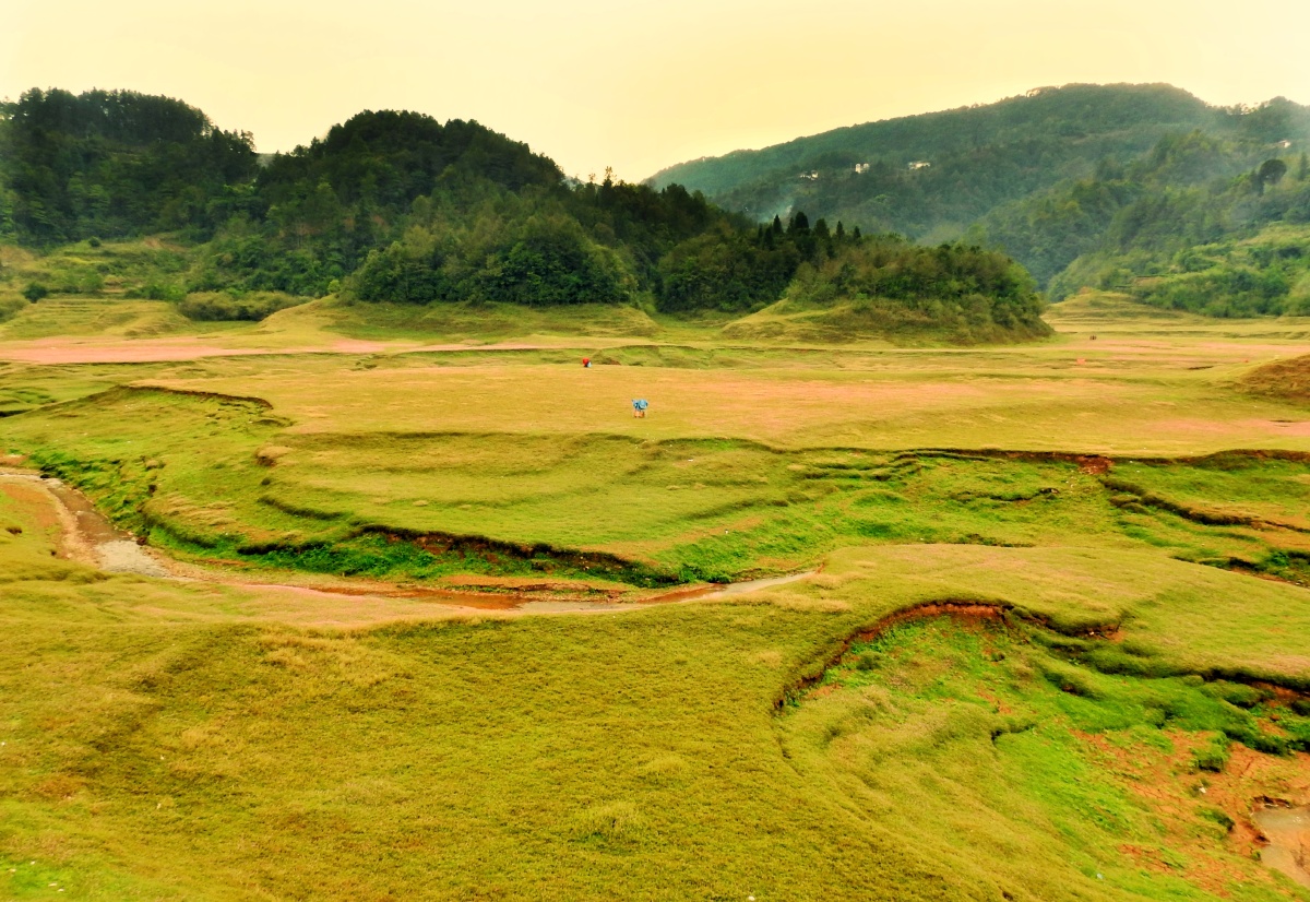 在湖北恩施市白杨坪镇熊家岩村,有一处湿地叫鳝孔坝 ,因坝中有个消水