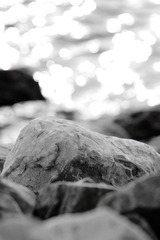 IMG_0361x