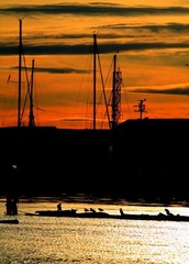 IMG_0750
