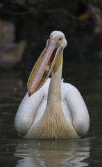 913246