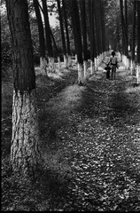 Untitled-4.jpg
